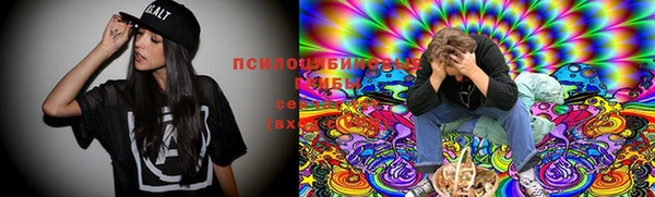 молекула духа Алзамай