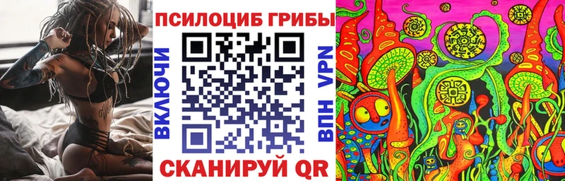 Галлюциногенные грибы Cubensis Новоульяновск